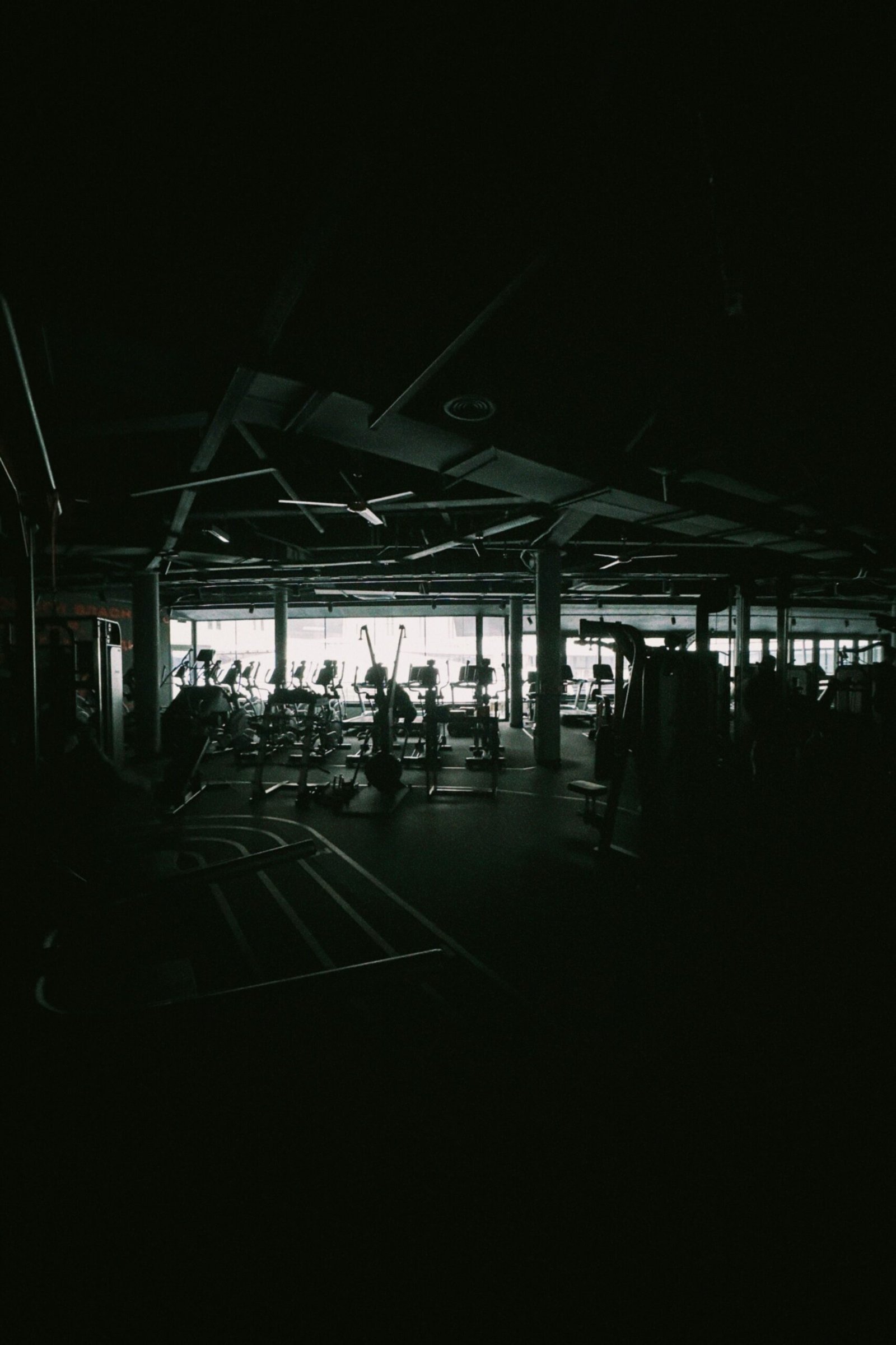 Sciatica Recovery: How I Rebuilt My Back Through Training