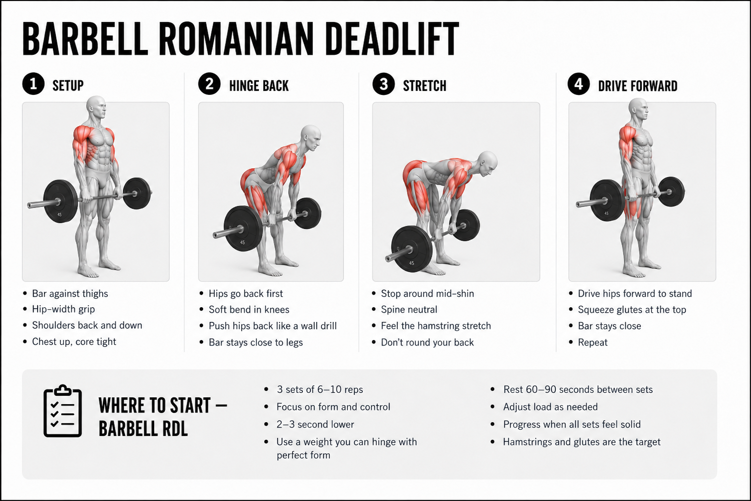 How to Do the Romanian Deadlift: Dumbbell to Barbell