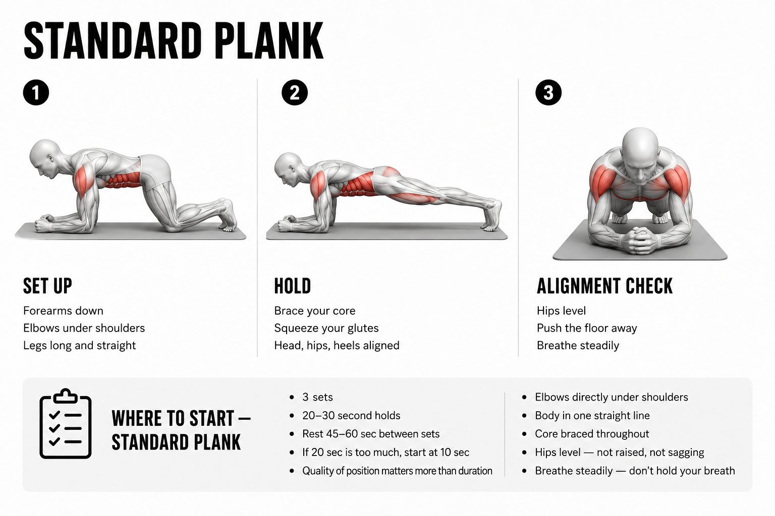 How to Do a Plank for Beginners — Sets, Reps and Progressions