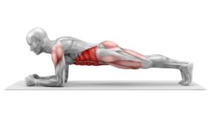 How to Do a Plank for Beginners — Sets, Reps and Progressions