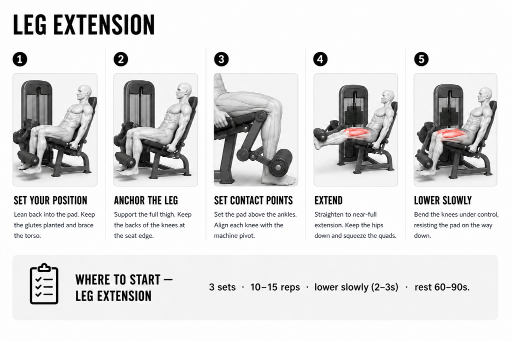 Leg extension step by step: 1) set your position leaning back with glutes planted; 2) anchor the leg with the full thigh supported on the seat; 3) set the pad above the ankles, knee aligned with the machine pivot; 4) extend to near-full lockout and squeeze the quads; 5) lower slowly under control