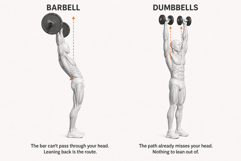 Side-by-side mechanism diagram. On the left, labelled barbell: a figure presses a barbell overhead and leans back to clear it, with a dashed arrow tracing the bar's vertical path and a marker at the lower back. Caption: the bar can't pass through your head, leaning back is the route. On the right, labelled dumbbells: a figure presses two dumbbells straight up either side of the head, dashed arrows tracing each path. Caption: the path already misses your head, nothing to lean out of.