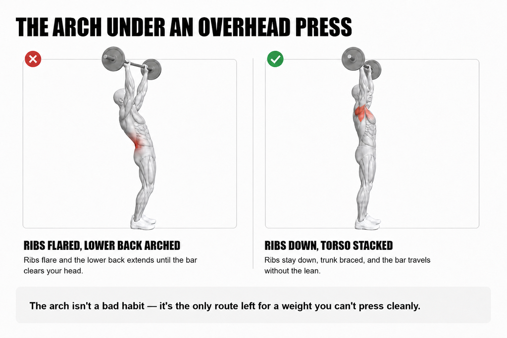 Two-panel comparison headed The Arch Under An Overhead Press. The left panel, marked with a red cross and labelled ribs flared, lower back arched, shows a figure leaning back under a barbell held overhead with the lower back highlighted red; its caption reads ribs flare and the lower back extends until the bar clears your head. The right panel, marked with a green tick and labelled ribs down, torso stacked, shows the same figure upright with the upper back highlighted; its caption reads ribs stay down, trunk braced, and the bar travels without the lean. Footer: the arch isn't a bad habit, it's the only route left for a weight you can't press cleanly.